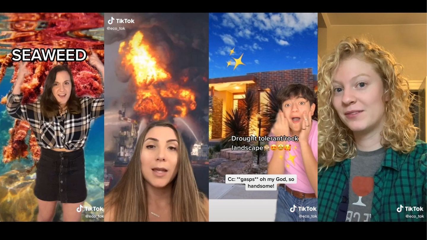 Meet The Tiktok Stars Using Viral Videos To Save The Planet Euronews