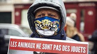 Διαδήλωση στο Παρίσι για τα δικαιώματα των ζώων