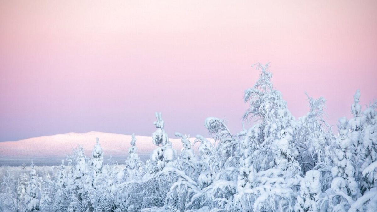 Snow covered trees are seen in Kittila, Finnish Lapland, Wednesday, Jan. 13, 2021.