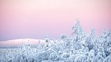Snow covered trees are seen in Kittila, Finnish Lapland, Wednesday, Jan. 13, 2021.