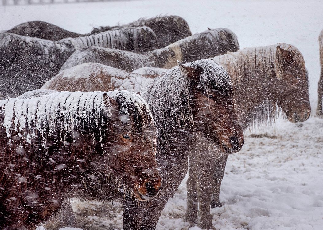 Michael Probst/AP Photo