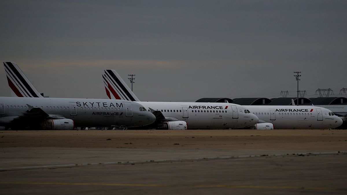 Air France and Skyteam planes are parked at Roissy Airport outside Paris.