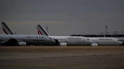Air France and Skyteam planes are parked at Roissy Airport outside Paris.