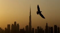 A seagull flies pass the view of city skyline and the world tallest tower, Burj Khalifa, in Dubai, United Arab Emirates, Friday, Jan.29, 2021. 