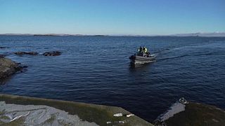 Cine en una isla sueca durante una semana: el peculiar premio para una enfermera de urgencias