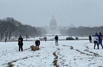 Guerra de bolas de nieve en Washington