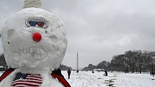 Super-Schneemann auf der National Mall
