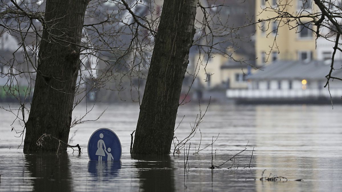 Hochwasser in Köln. 