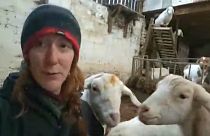 Farmer Dot McCarthy and her goats at Cronkshaw Fold Farm, Lancashire, England.