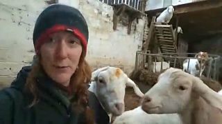 Farmer Dot McCarthy and her goats at Cronkshaw Fold Farm, Lancashire, England.