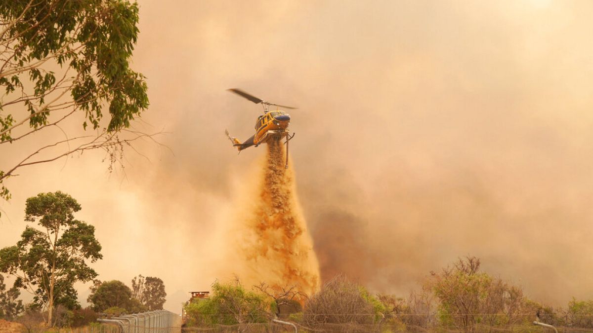 Avustralya'da orman yangını: Binlerce kişiden evlerini terk etmesi istendi