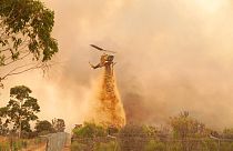 Avustralya'da orman yangını: Binlerce kişiden evlerini terk etmesi istendi