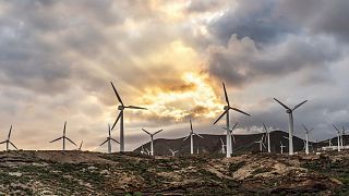 Turbines generating green energy