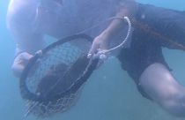 Treasures and tradition - find out how pearl diving in Dubai still uses traditional methods