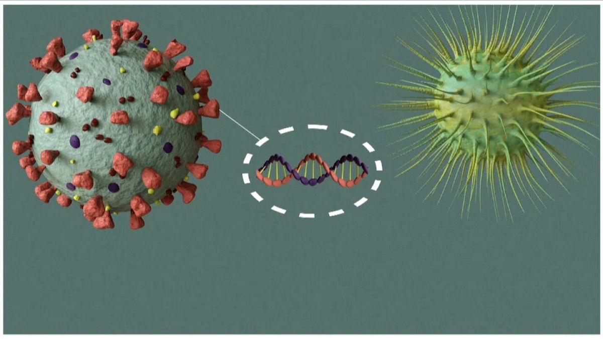 Animation showing coronavirus DNA