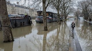 Una niña camina sola a lo largo de un terreno elevado rodeado de agua a orillas del río Sena, en París, Francia,