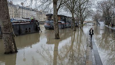 Flood waters recede in southern France but remain high in Paris