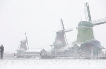 Netherlands Weather