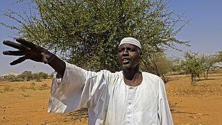 Darfur farmers live in fear of attack by Arab militiamen