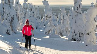 Woman cross country skiing