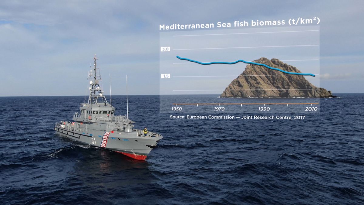 Αδριατική: Αύξηση των αλιευτικών αποθεμάτων χάρις σε ζώνες απαγόρευσης αλιείας