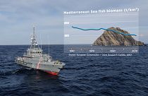 Stocks de poissons en Méditerranée : protéger mieux pour pêcher plus