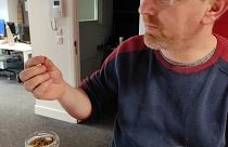 UE autoriza venda de larvas de besouros como comida