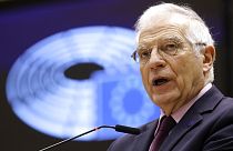 MEPs shared their disappointment and anger over Josep Borrell's visit to Moscow.