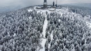 Trees are covered with ice rain, frozen fog and snow on top of the Feldberg mountain near Frankfurt, Germany, Tuesday, Feb. 9, 2021