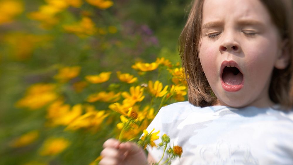 Climate change has made hayfever season start almost a month earlier