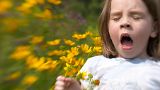 Hayfever is lasting even longer due to rising temperatures