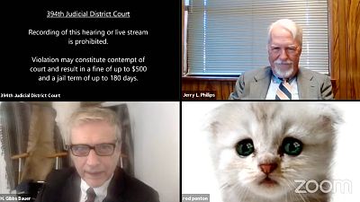 Lawyer Ron Ponton (bottom right) struggled to turn a cat filter off during Zoom court proceedings.