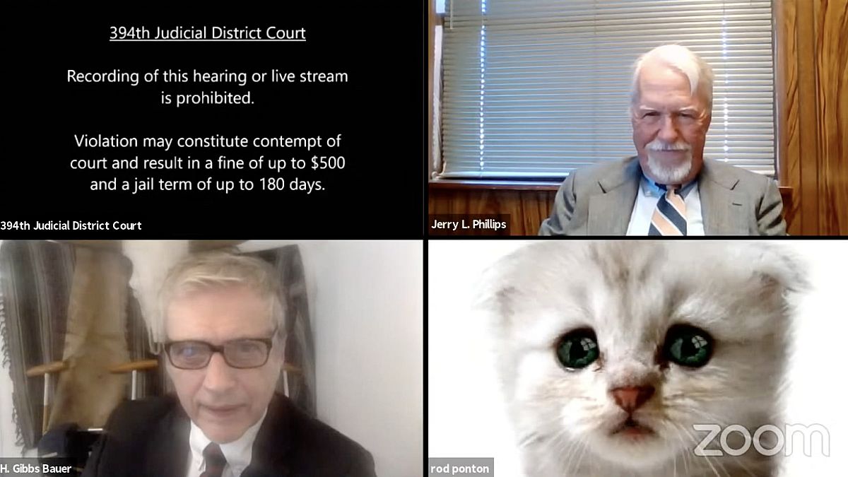 Anwalt Ron Ponton (unten rechts) kämpft damit, einen Katzenfilter während des Zoom-Gerichtsverfahrens auszuschalten