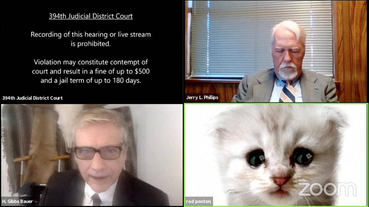 قطة تشارك في جلسة افتراضية لقضاة على تطبيق زووم