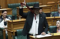 نماینده بومیان مائوری در پارلمان نیوزیلند