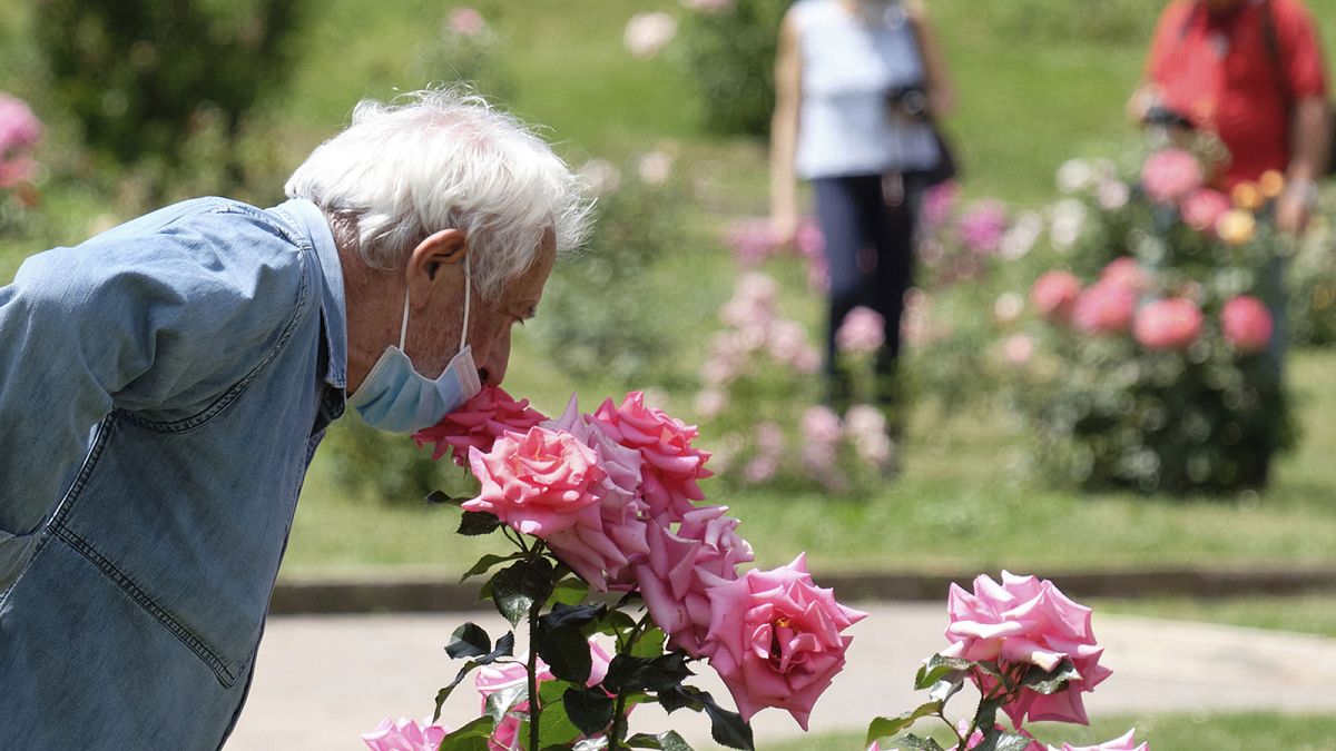 Le plaisir de sentir l'odeur d'une rose, comme ici dans un parc de Rome, en Italie, le 19 mai 2020 