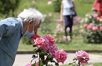 Le plaisir de sentir l'odeur d'une rose, comme ici dans un parc de Rome, en Italie, le 19 mai 2020