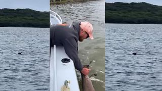 John Taylor and his family spotted a kangaroo in the middle of a lake in Western Australia