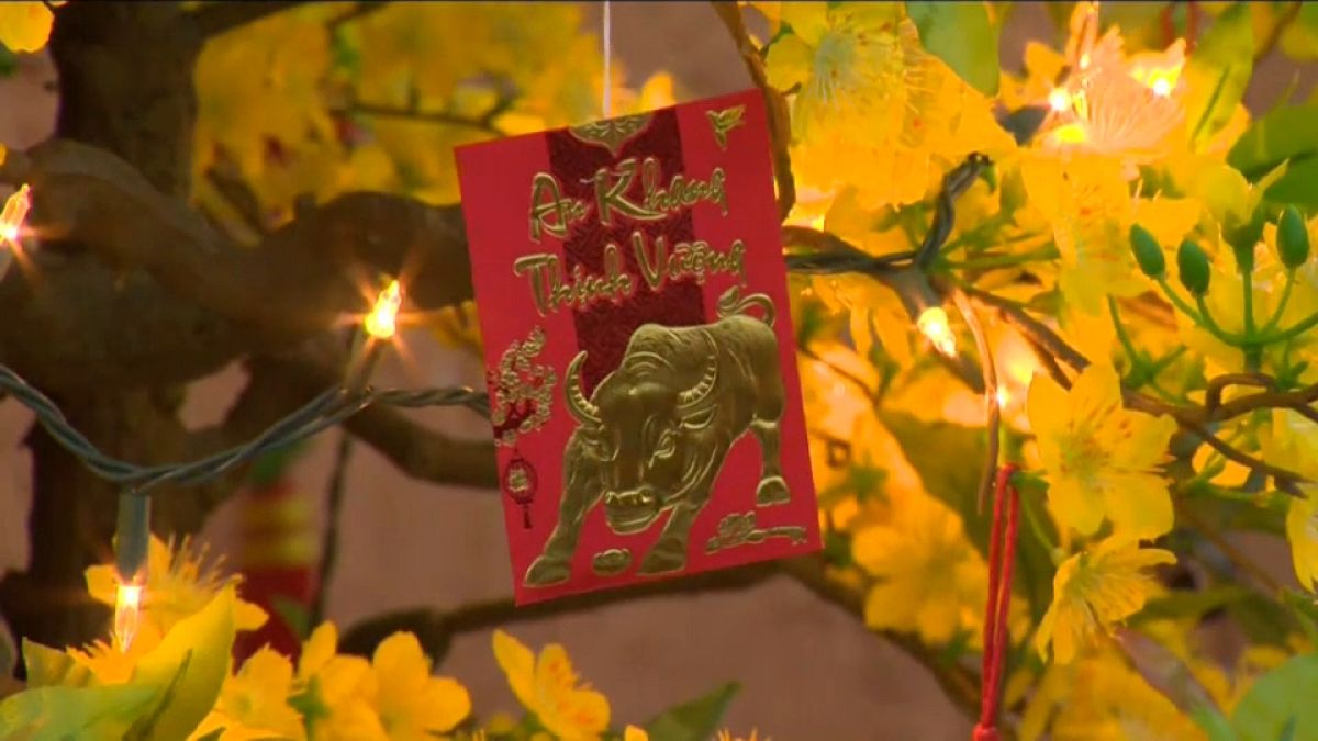 A card on a lit up cherry tree marks Lunar New Year 2021 "The Year of the Ox"