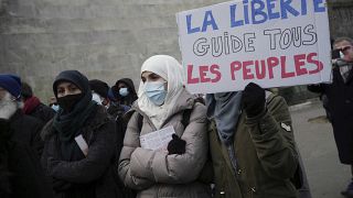 French Muslims Rally in Paris Against Perceived Islamophobic Bill
