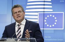 Vice-President Šefčovič is co-chair of the EU-UK Joint Committee on the Withdrawal Agreement.