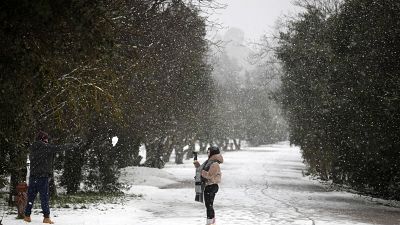 snowfall in central Athens. (AP Photo/Thanassis Stavrakis)
