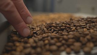 Δανία: Μια εταιρία καφέ επενδύει στην πράσινη και στην ψηφιακή τεχνολογία