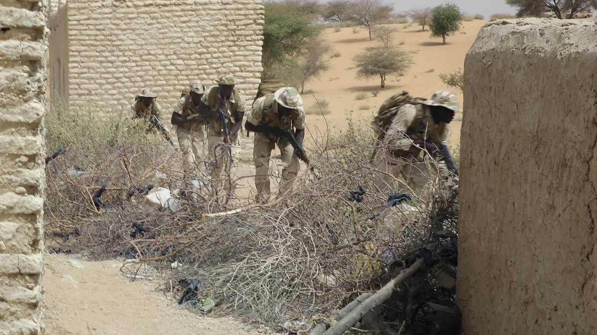 قزات تشادية تعاضدها قوات خاصة نيجيرية خلال تدريبات في تشاد. 2015/03/07