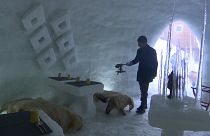 ویدئویی از سرو چای و غذاهای سنتی در کافۀ کشمیری‌ها در کلبۀ یخی