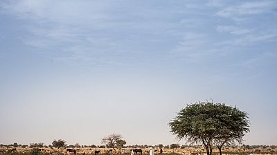 Tchad : au moins 35 morts dans des violences entre éleveurs et cultivateurs