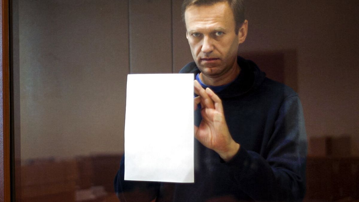 Rus muhalif Aleksey Navalny, Moskova'daki mahkeme salonunda