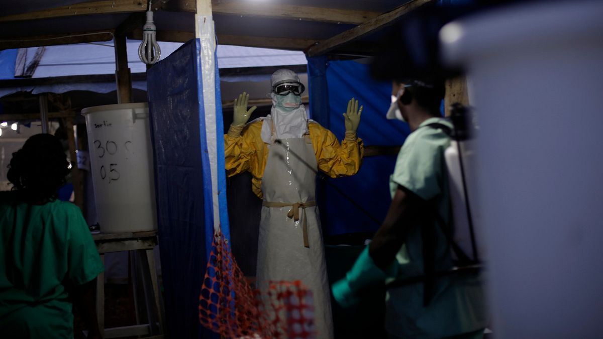 Gine'de Ebola virüsüne karşı dezenfektan ile temizlenen bir sağlık görevlisi (arşiv)