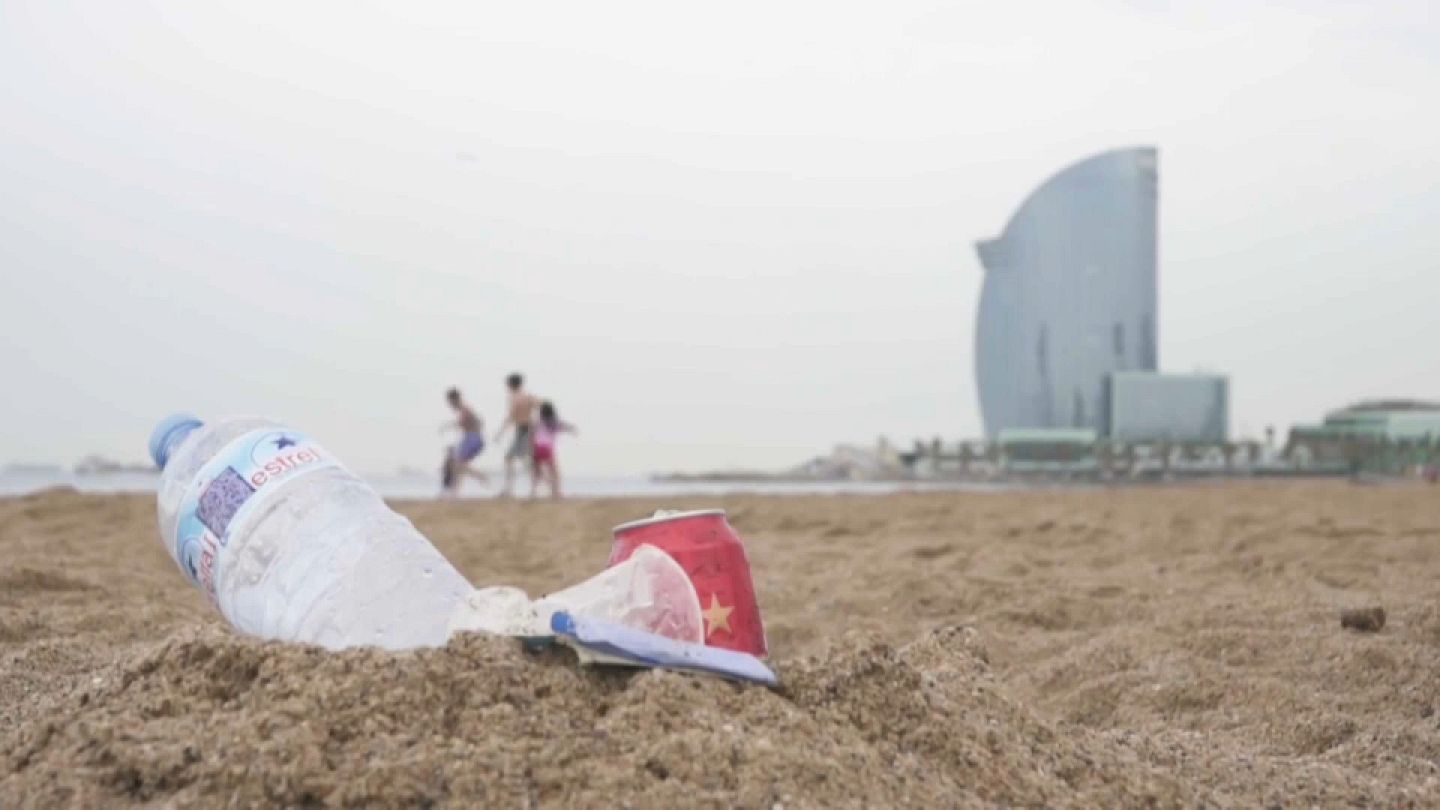 Bolsas compostables, ¿en qué se diferencian de las biodegradables? -  Monouso Blog