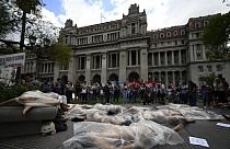 Arjantin'de kadına şiddet protestosu